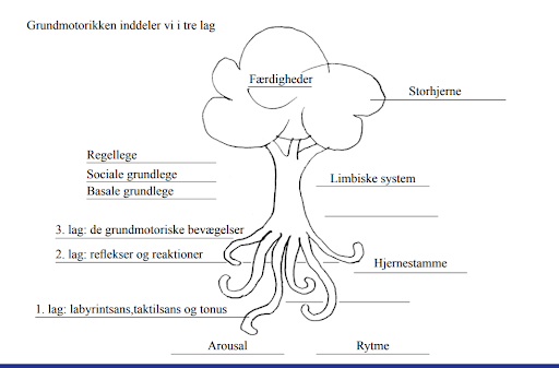 traeet-grundmodellen_4633